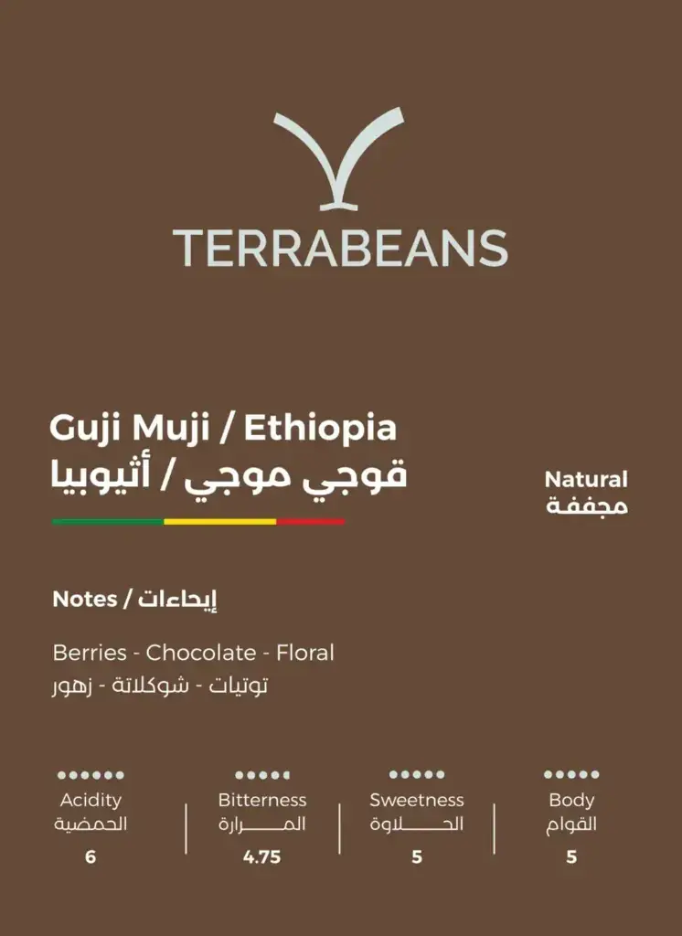 Eithupia Guji  -250 g - Terra.webp