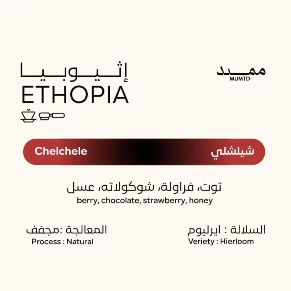 1000334241.webp