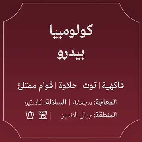 1000336649.webp