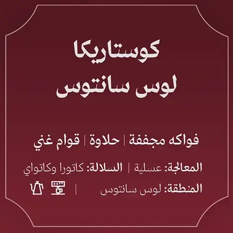 1000336682.webp