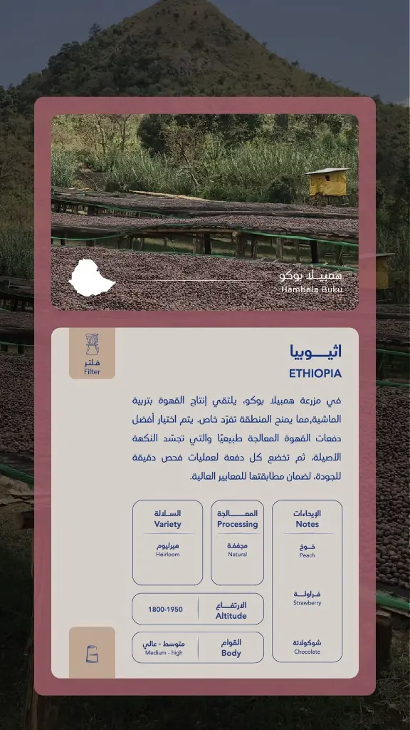 t6z5tRStxIEdZho6lQfNfku3bHyZ2f2YoiYzD8SC.webp