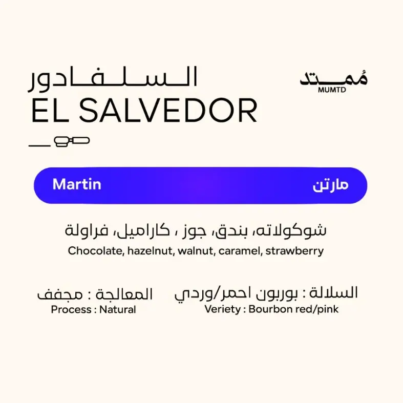 martin.webp