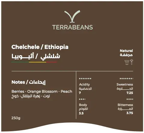 شلشلي - إثيوبيا - ٢٥٠ جرام.webp