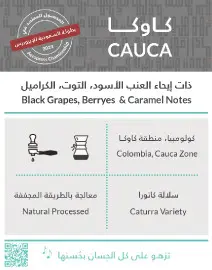 CAUCA - 250g / KIFFA 