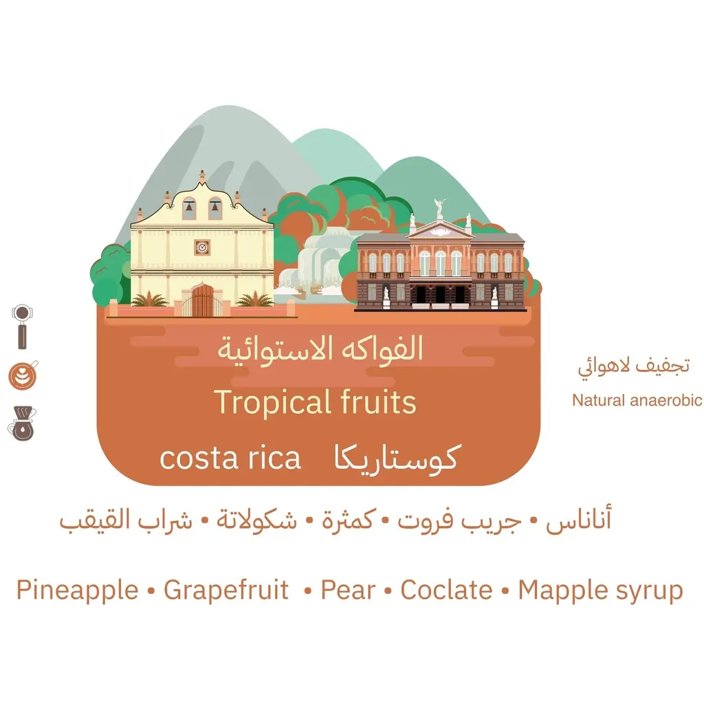 Brazil- Fazenda Drip Bags/ Minimo 