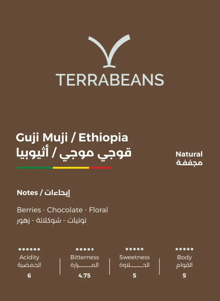 Eithupia Guji  -250 g / Terra
