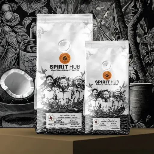 Colombia Castillo - 100g / SpiritHub